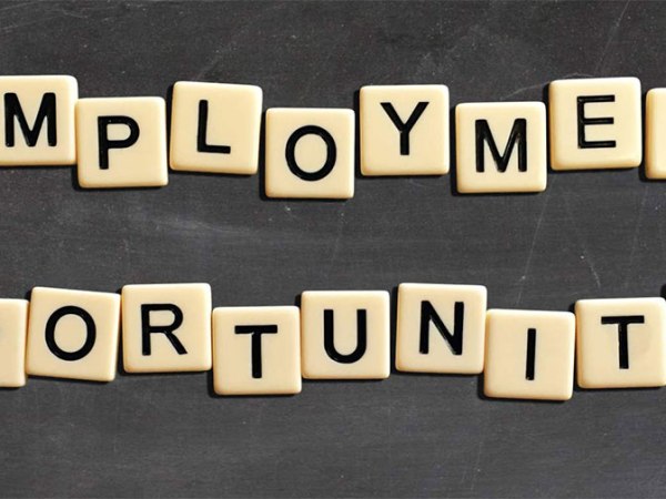 What Are the Employment&nbsp;Opportunities?